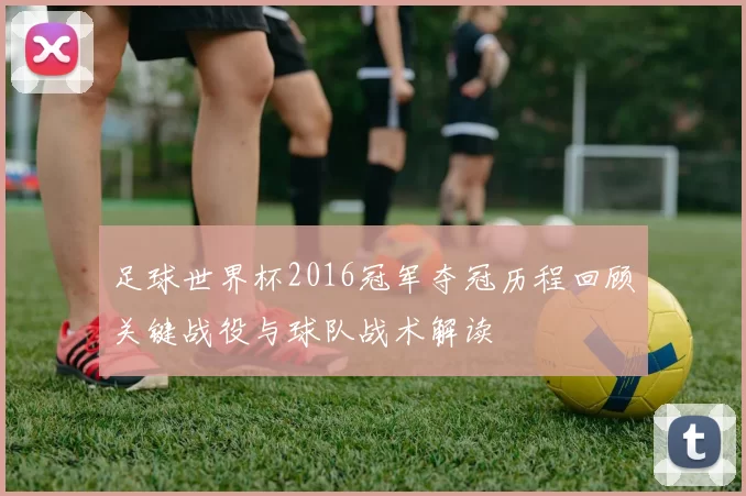 足球世界杯2016冠军夺冠历程回顾关键战役与球队战术解读